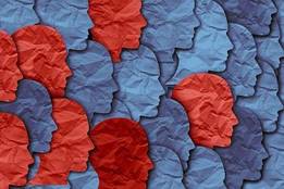 community spread graphic with different colored paper faces